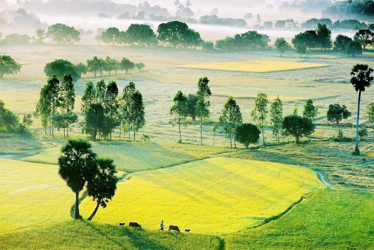 Vũ Thị Thìn Thư Viện